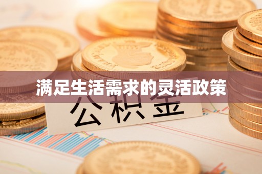宏伟满足生活需求的灵活政策