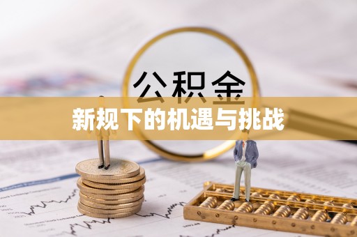 宏伟新规下的机遇与挑战