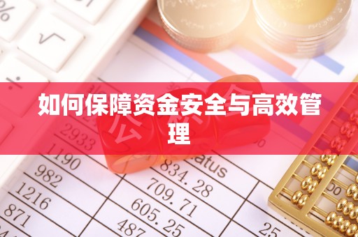 宏伟如何保障资金安全与高效管理
