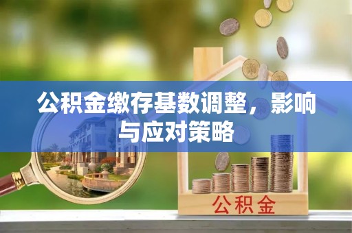 宏伟公积金缴存基数调整，影响与应对策略