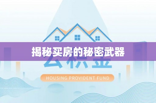 宏伟揭秘买房的秘密武器