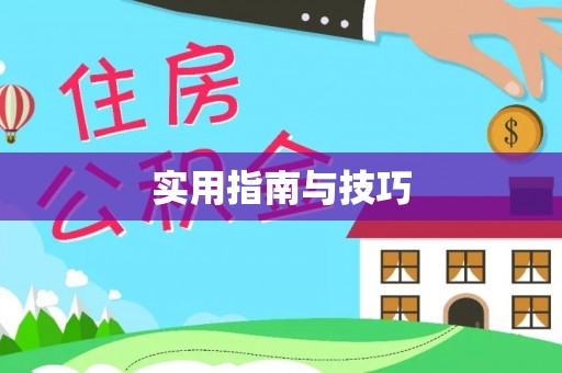 宏伟实用指南与技巧