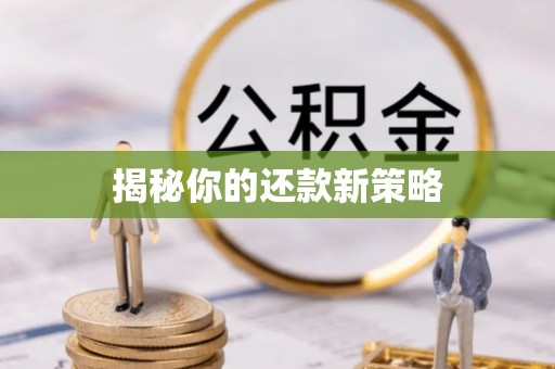宏伟揭秘你的还款新策略