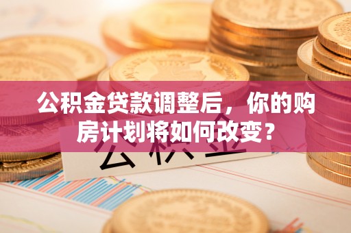 宏伟公积金贷款调整后，你的购房计划将如何改变？