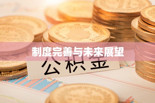 宏伟制度完善与未来展望