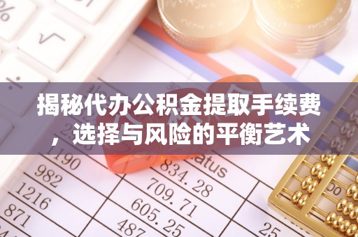 宏伟揭秘代办公积金提取手续费，选择与风险的平衡艺术