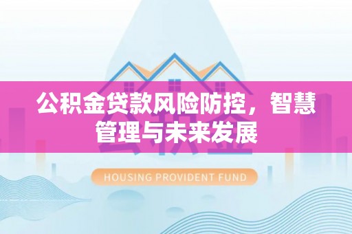 宏伟公积金贷款风险防控，智慧管理与未来发展