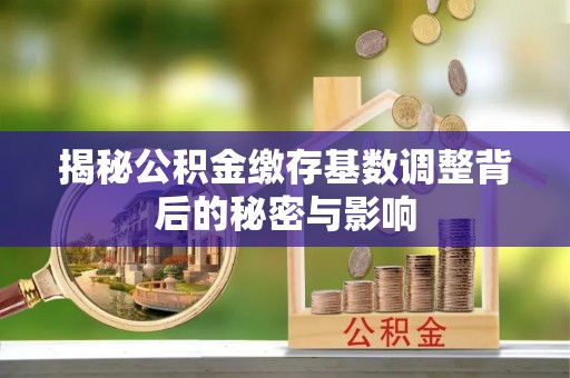 宏伟揭秘公积金缴存基数调整背后的秘密与影响