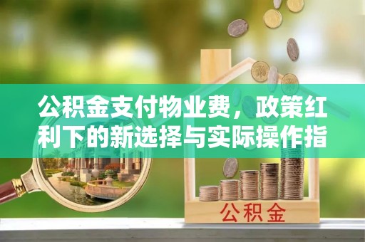 宏伟公积金支付物业费，政策红利下的新选择与实际操作指南