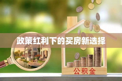宏伟政策红利下的买房新选择