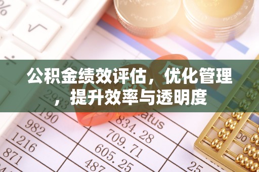 宏伟公积金绩效评估，优化管理，提升效率与透明度