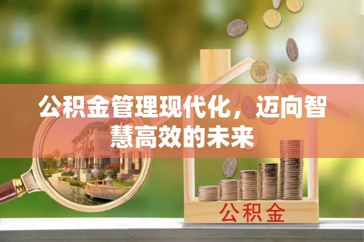 宏伟公积金管理现代化，迈向智慧高效的未来