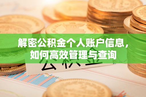 宏伟解密公积金个人账户信息，如何高效管理与查询
