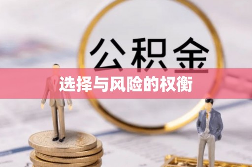 宏伟选择与风险的权衡