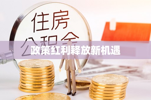 宏伟政策红利释放新机遇