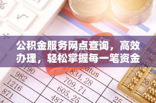 宏伟公积金服务网点查询，高效办理，轻松掌握每一笔资金动态