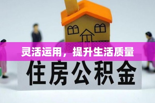 宏伟灵活运用，提升生活质量