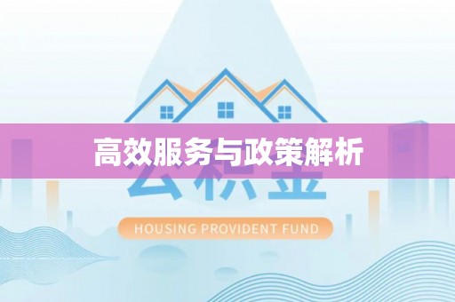 宏伟高效服务与政策解析