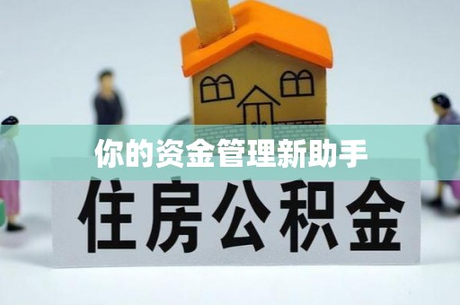 宏伟你的资金管理新助手