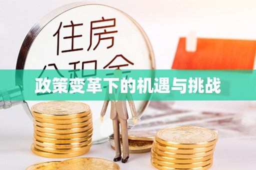 宏伟政策变革下的机遇与挑战
