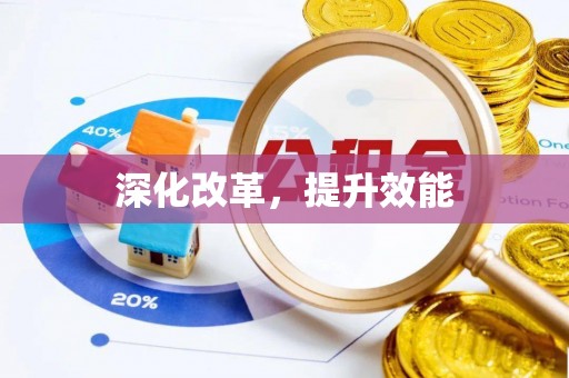 宏伟深化改革，提升效能
