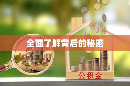 宏伟全面了解背后的秘密
