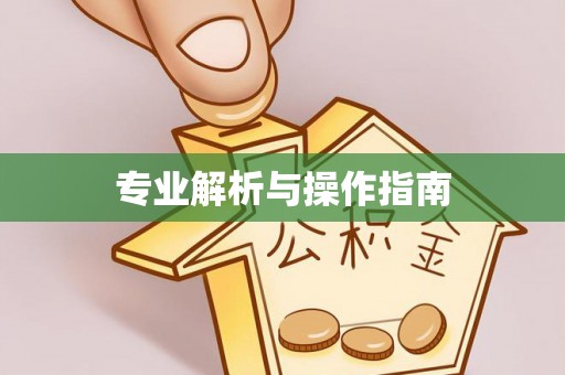 宏伟专业解析与操作指南