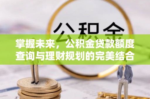 宏伟掌握未来，公积金贷款额度查询与理财规划的完美结合