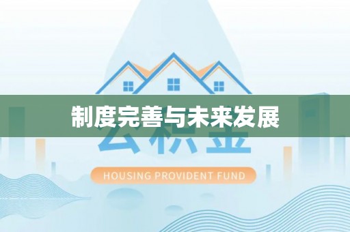 宏伟制度完善与未来发展