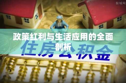 宏伟政策红利与生活应用的全面剖析