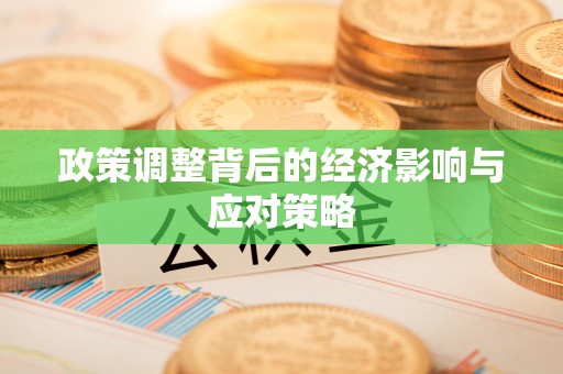 宏伟政策调整背后的经济影响与应对策略