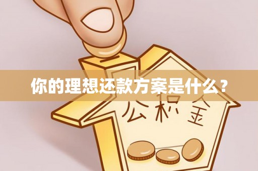 宏伟你的理想还款方案是什么？