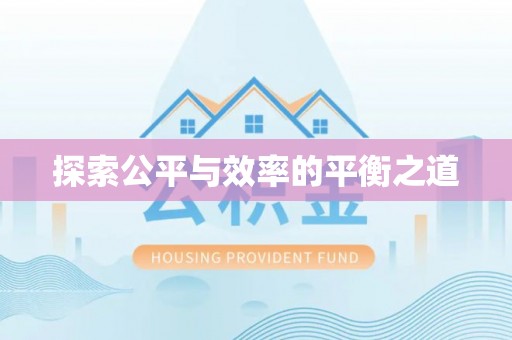 宏伟探索公平与效率的平衡之道