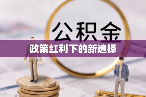 宏伟政策红利下的新选择