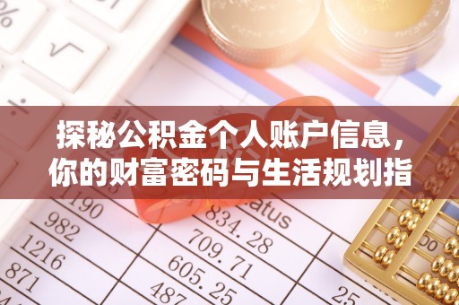 宏伟探秘公积金个人账户信息，你的财富密码与生活规划指南