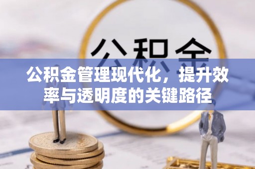 宏伟公积金管理现代化，提升效率与透明度的关键路径