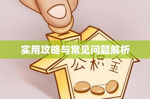 宏伟实用攻略与常见问题解析