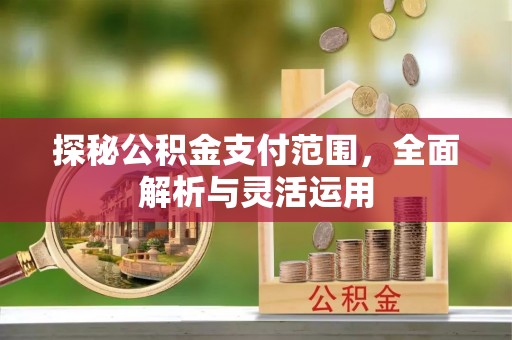 宏伟探秘公积金支付范围，全面解析与灵活运用