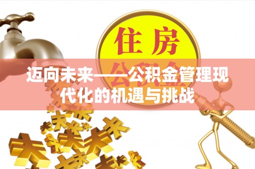 宏伟迈向未来——公积金管理现代化的机遇与挑战