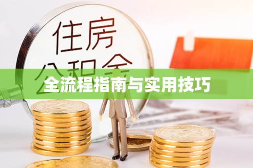 宏伟全流程指南与实用技巧