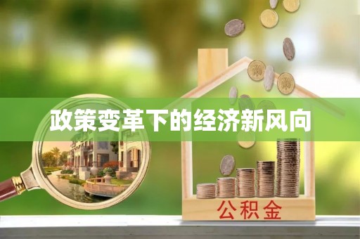 宏伟政策变革下的经济新风向