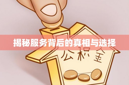 宏伟揭秘服务背后的真相与选择