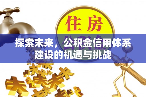 宏伟探索未来，公积金信用体系建设的机遇与挑战