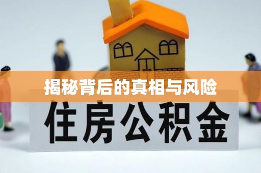 宏伟揭秘背后的真相与风险