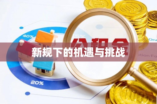 宏伟新规下的机遇与挑战