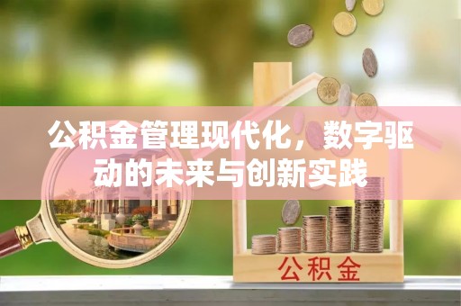 宏伟公积金管理现代化，数字驱动的未来与创新实践