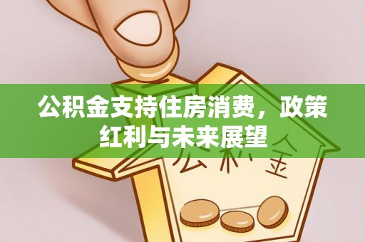 宏伟公积金支持住房消费，政策红利与未来展望