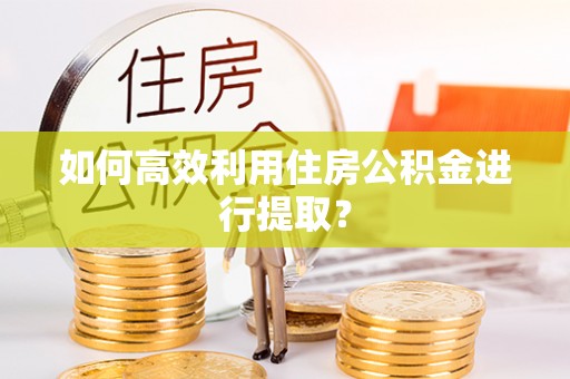 宏伟如何高效利用住房公积金进行提取？