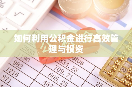 宏伟如何利用公积金进行高效管理与投资