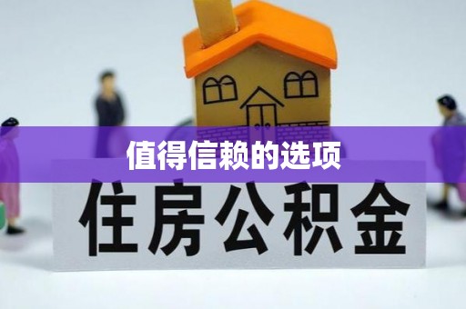 宏伟值得信赖的选项